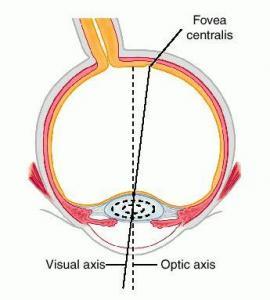 Visual And Optic Axes