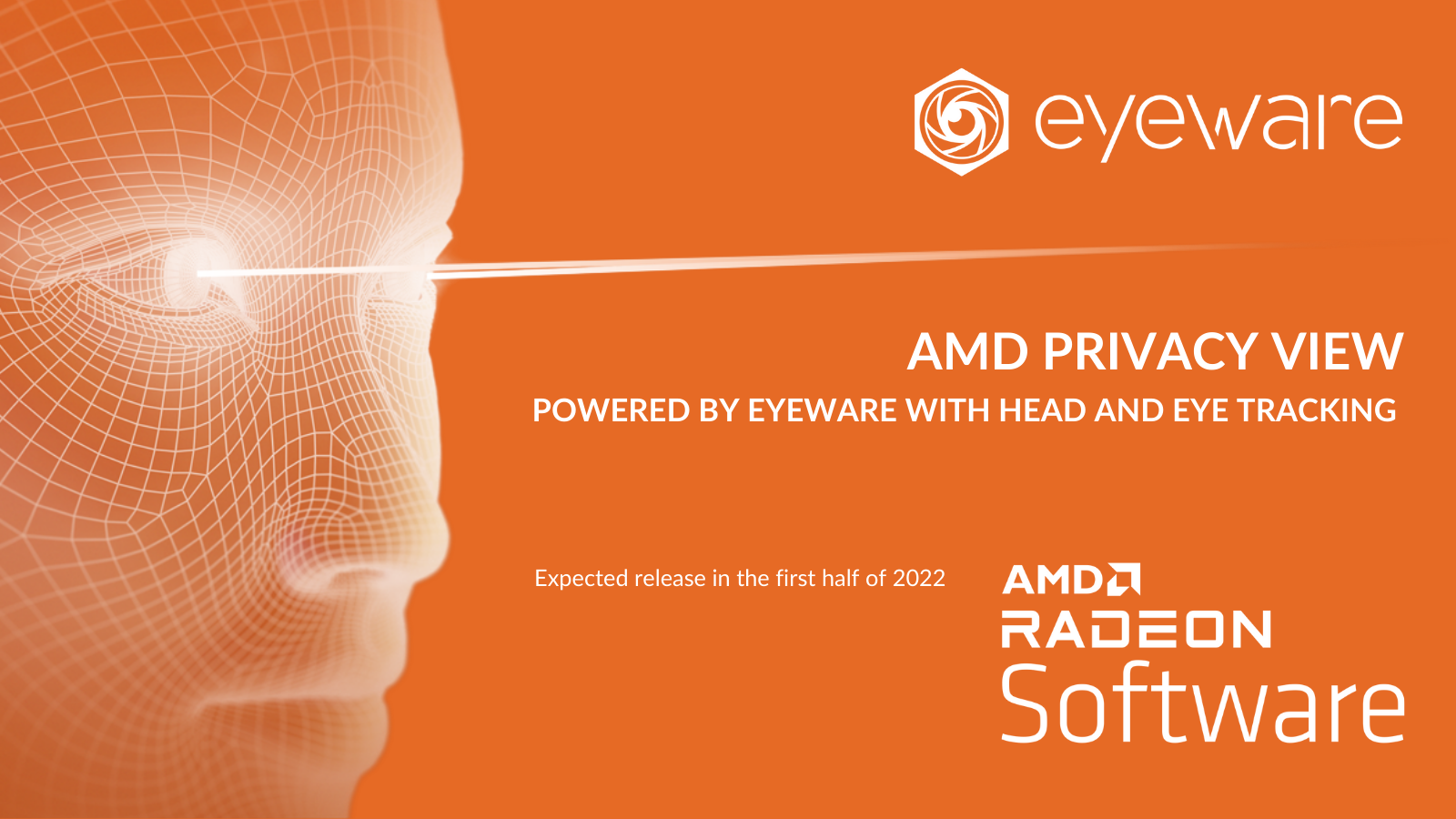 Amd privacy view это. Eyeware. AMD privacy view. AMD privacy view как включить. Prying Eyes.